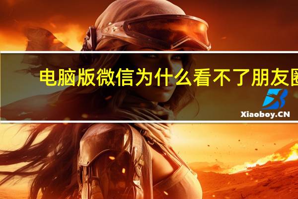 电脑版微信为什么看不了朋友圈（电脑版微信怎么看不了朋友圈）