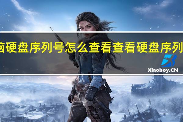 电脑硬盘序列号怎么查看 查看硬盘序列号的方法(电脑硬盘序列号怎么查询)