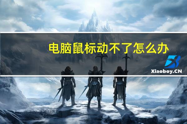 电脑鼠标动不了怎么办(电脑鼠标动不了)