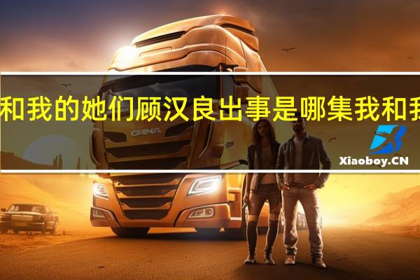 电视剧我和我的她们顾汉良出事是哪集 我和我的他们电视剧