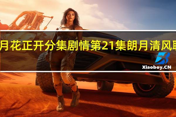 电视剧清风朗月花正开分集剧情 第21集朗月清风联手打马球剧情介绍