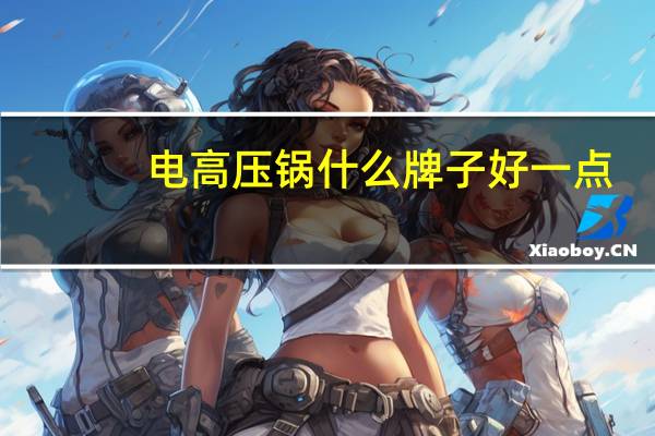 电高压锅什么牌子好一点(电高压锅什么牌子好)