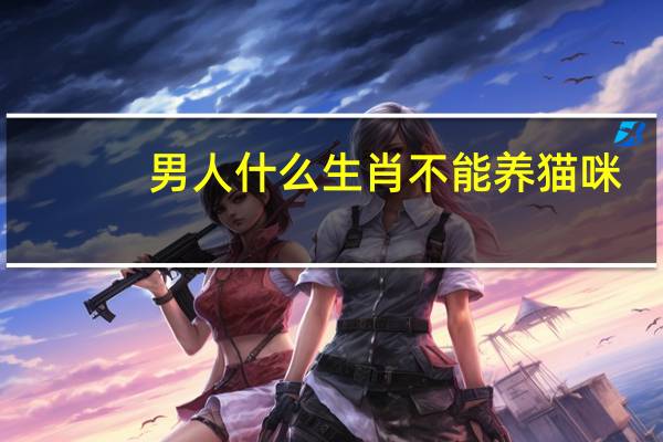 男人什么生肖不能养猫咪