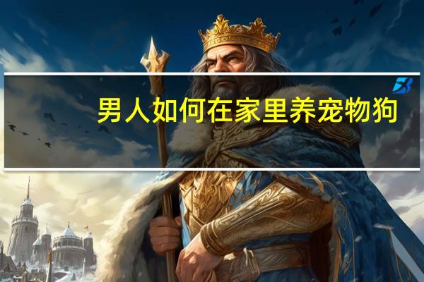 男人如何在家里养宠物狗
