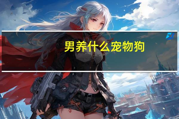 男养什么宠物狗