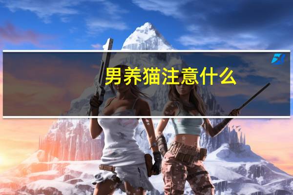 男养猫注意什么