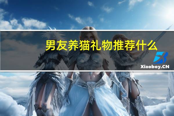 男友养猫礼物推荐什么