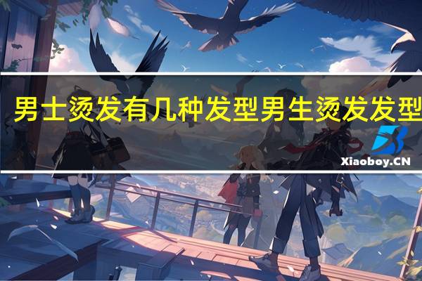 男士烫发有几种发型 男生烫发发型图片
