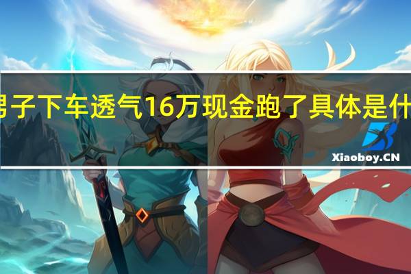 男子下车透气16万现金跑了 具体是什么情况？