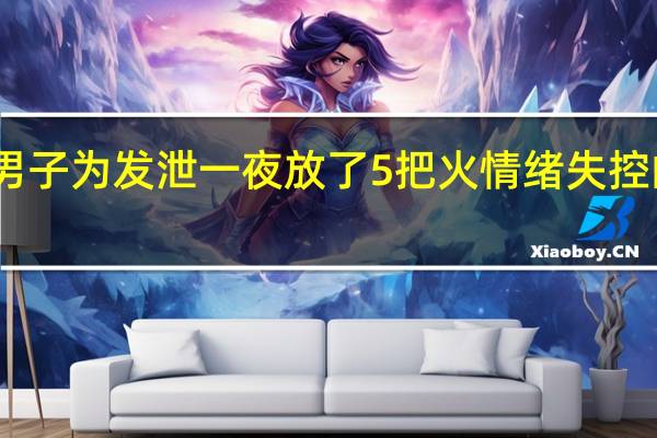 男子为发泄一夜放了5把火 情绪失控的代价
