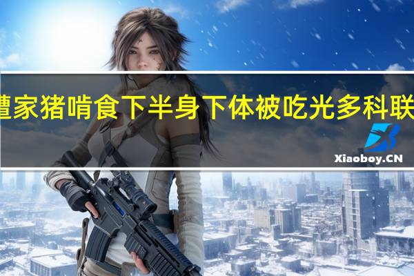 男子喂猪时晕倒遭家猪啃食下半身下体被吃光多科联合抢救 到底什么情况呢