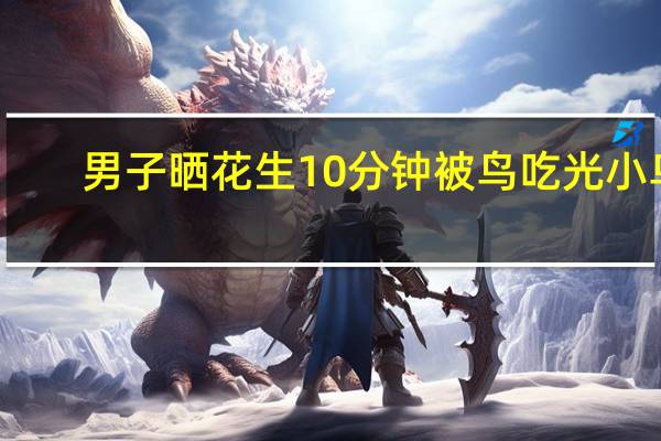 男子晒花生10分钟被鸟吃光 小鸟：听我说谢谢你 到底什么情况呢