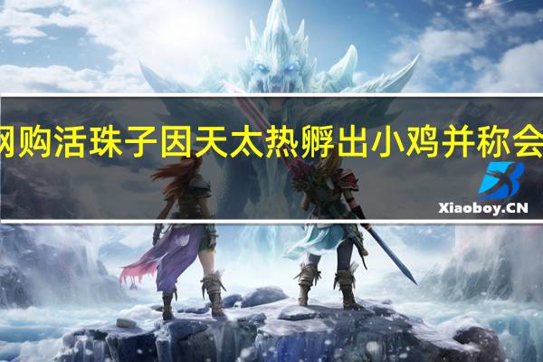 男子网购活珠子因天太热孵出小鸡 并称会好好饲养的