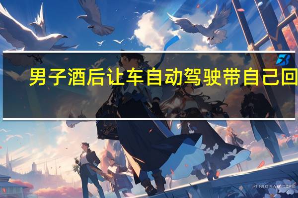男子酒后让车自动驾驶带自己回家：结果仍算酒驾