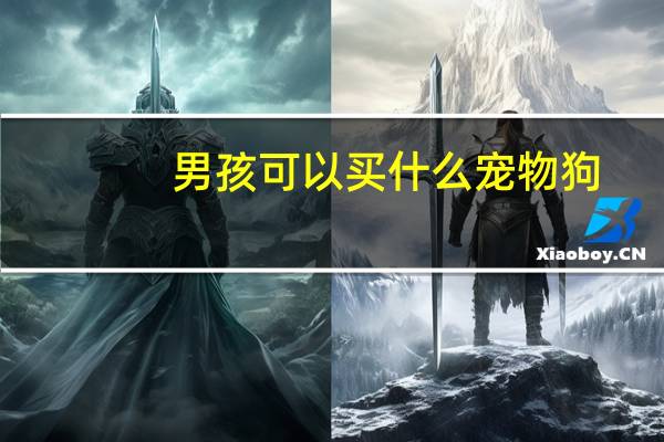 男孩可以买什么宠物狗