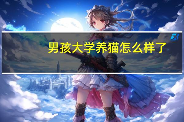 男孩大学养猫怎么样了