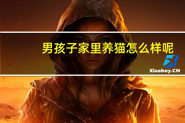 男孩子家里养猫怎么样呢