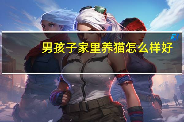 男孩子家里养猫怎么样好