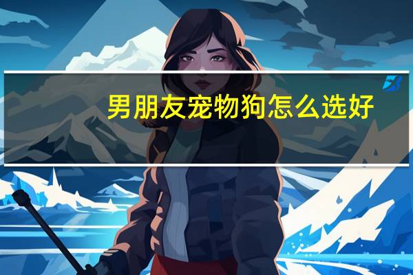 男朋友宠物狗怎么选好