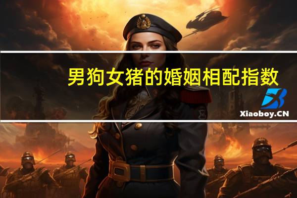 男狗女猪的婚姻相配指数（相配指数）