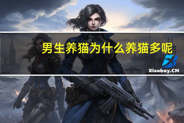 男生养猫为什么养猫多呢