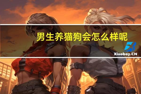 男生养猫狗会怎么样呢