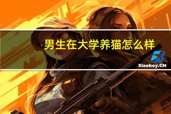 男生在大学养猫怎么样