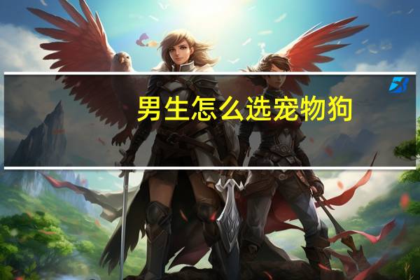 男生怎么选宠物狗