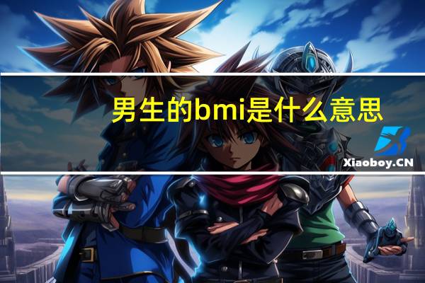 男生的bmi是什么意思