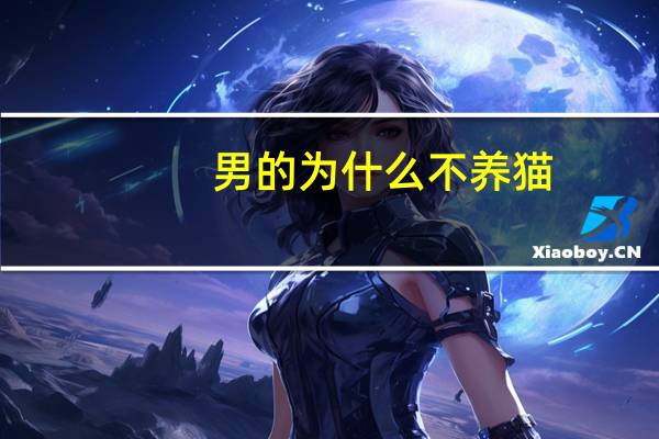 男的为什么不养猫