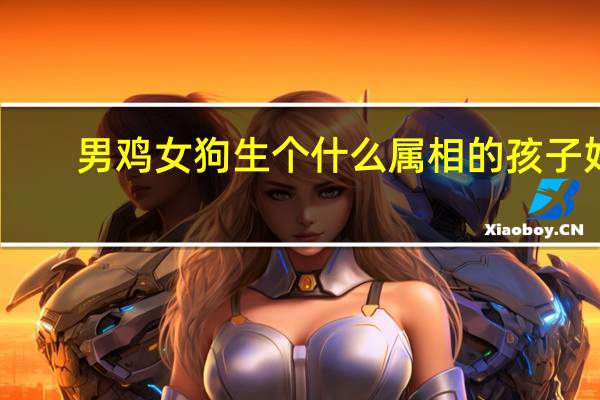 男鸡女狗生个什么属相的孩子好（男鸡女狗）
