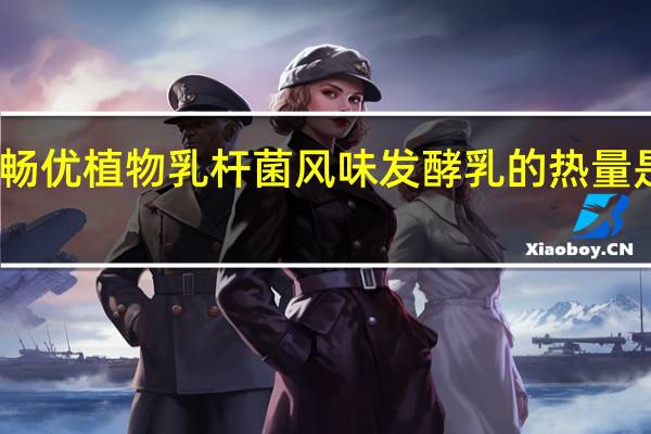 畅优 植物乳杆菌风味发酵乳的热量是多少