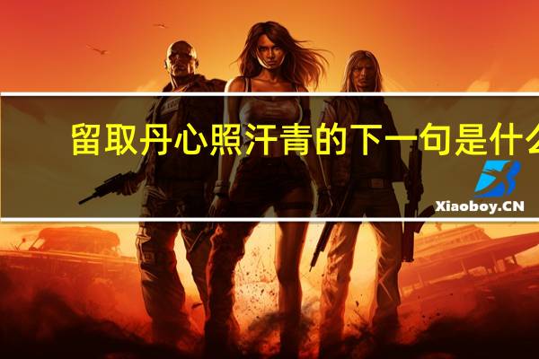 留取丹心照汗青的下一句是什么
