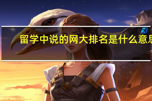 留学中说的网大排名是什么意思