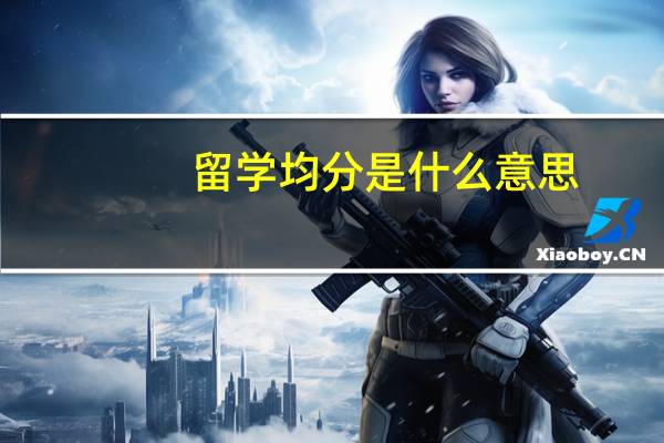 留学均分是什么意思