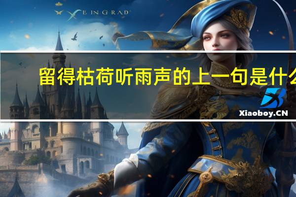 留得枯荷听雨声的上一句是什么