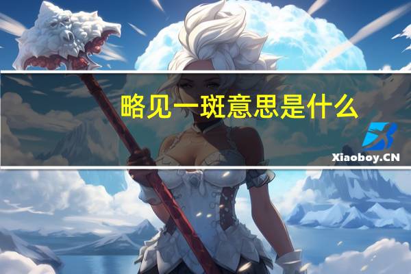 略见一斑意思是什么