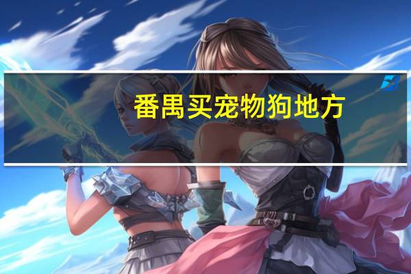番禺买宠物狗地方