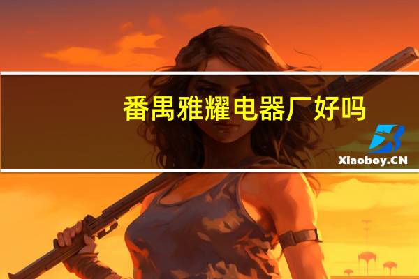 番禺雅耀电器厂好吗