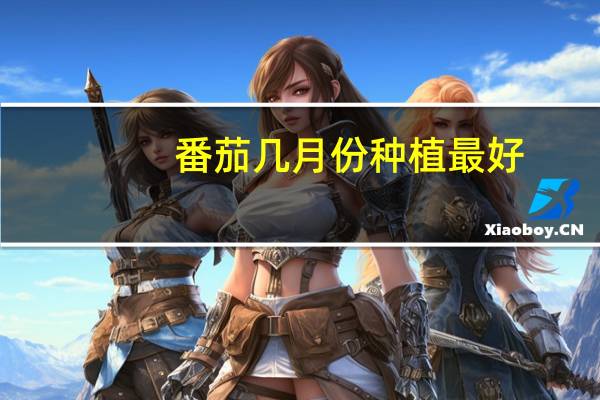 番茄几月份种植最好