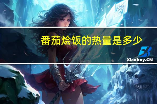 番茄烩饭的热量是多少