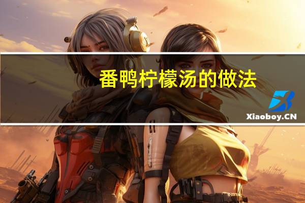 番鸭柠檬汤的做法