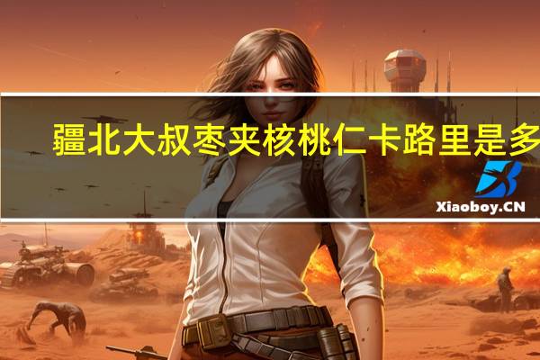 疆北大叔 枣夹核桃仁卡路里是多少