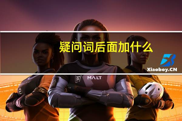 疑问词后面加什么