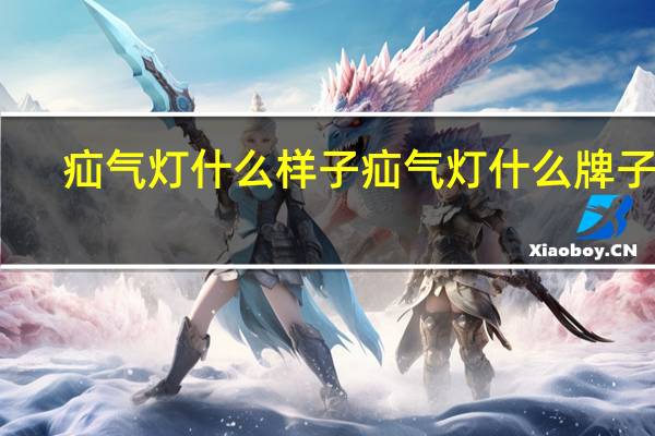疝气灯什么样子 疝气灯什么牌子好