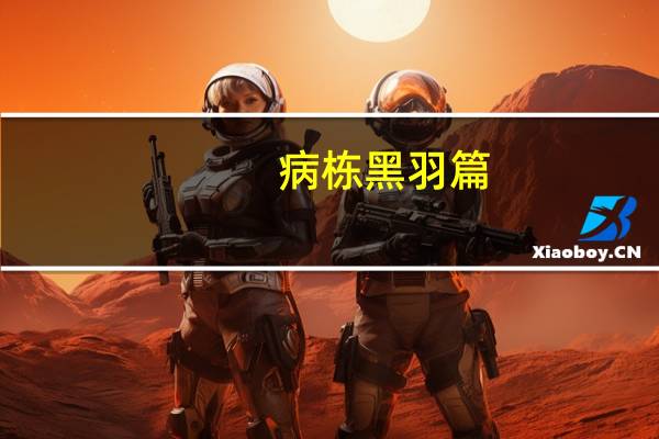 病栋黑羽篇（病栋）