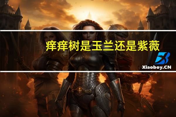 痒痒树是玉兰还是紫薇