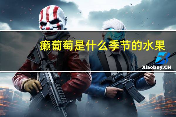 癞葡萄是什么季节的水果