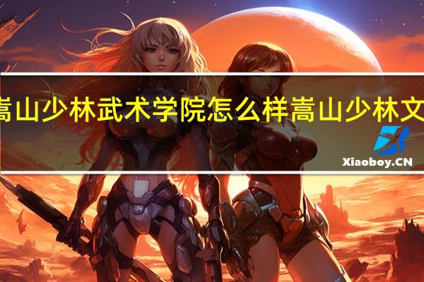 登封嵩山少林武术学院怎么样 嵩山少林文武学校好吗