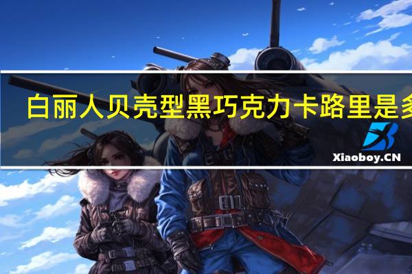 白丽人 贝壳型黑巧克力卡路里是多少